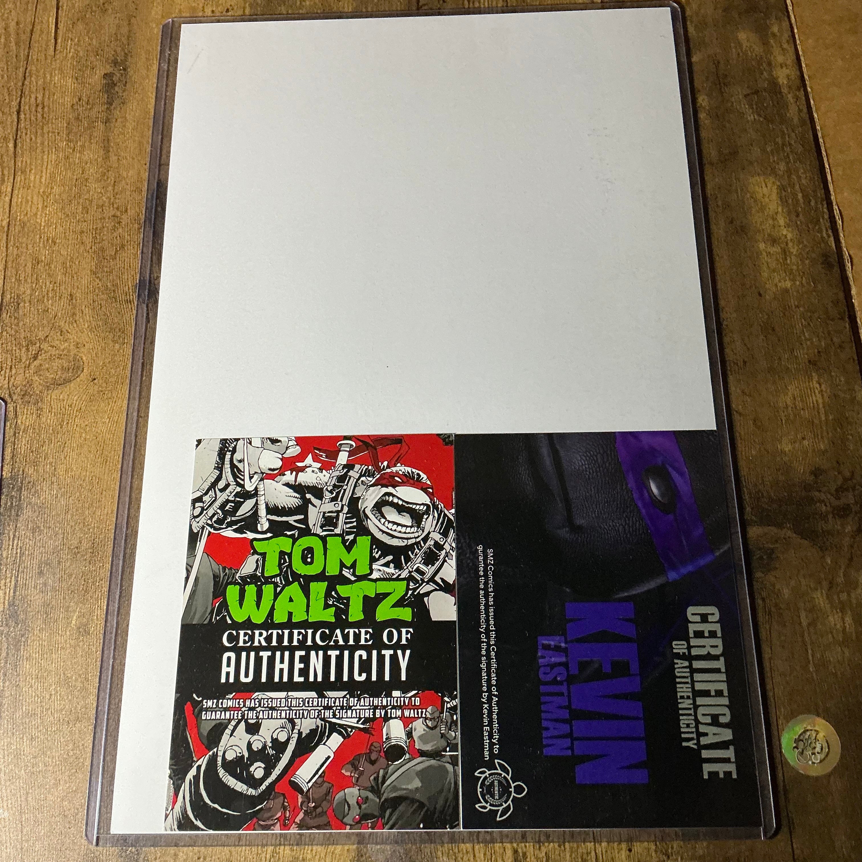 11x17 TMNT twice signed print